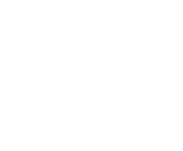 White Peak Dental logo